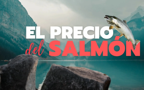 salmonicultura en Chile, Salmón Patagonia