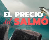 Reportaje El precio del Salmón