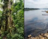 Amazonas: Brasil deforestación - Perú contaminación Río Marañón